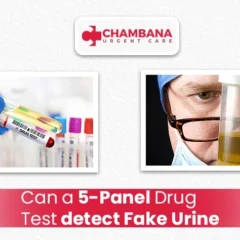 Can A 5-Panel Drug Test Detect Fake Urine?
