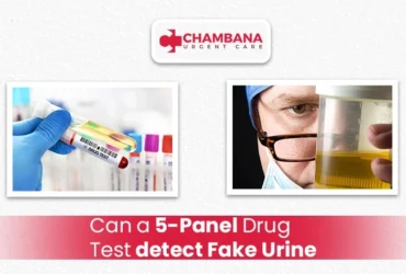can a 5-panel drug test detect fake urine