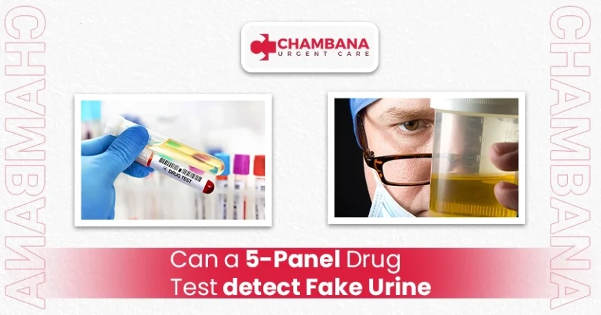 Can A 5-Panel Drug Test Detect Fake Urine? 1 can a 5-panel drug test detect fake urine