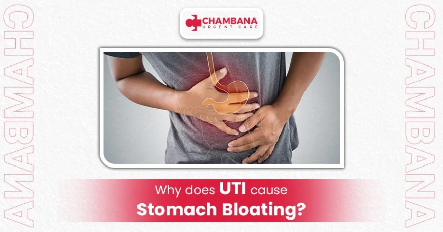 Why Does UTI Cause Stomach Bloating? 1 Does uti cause bloating